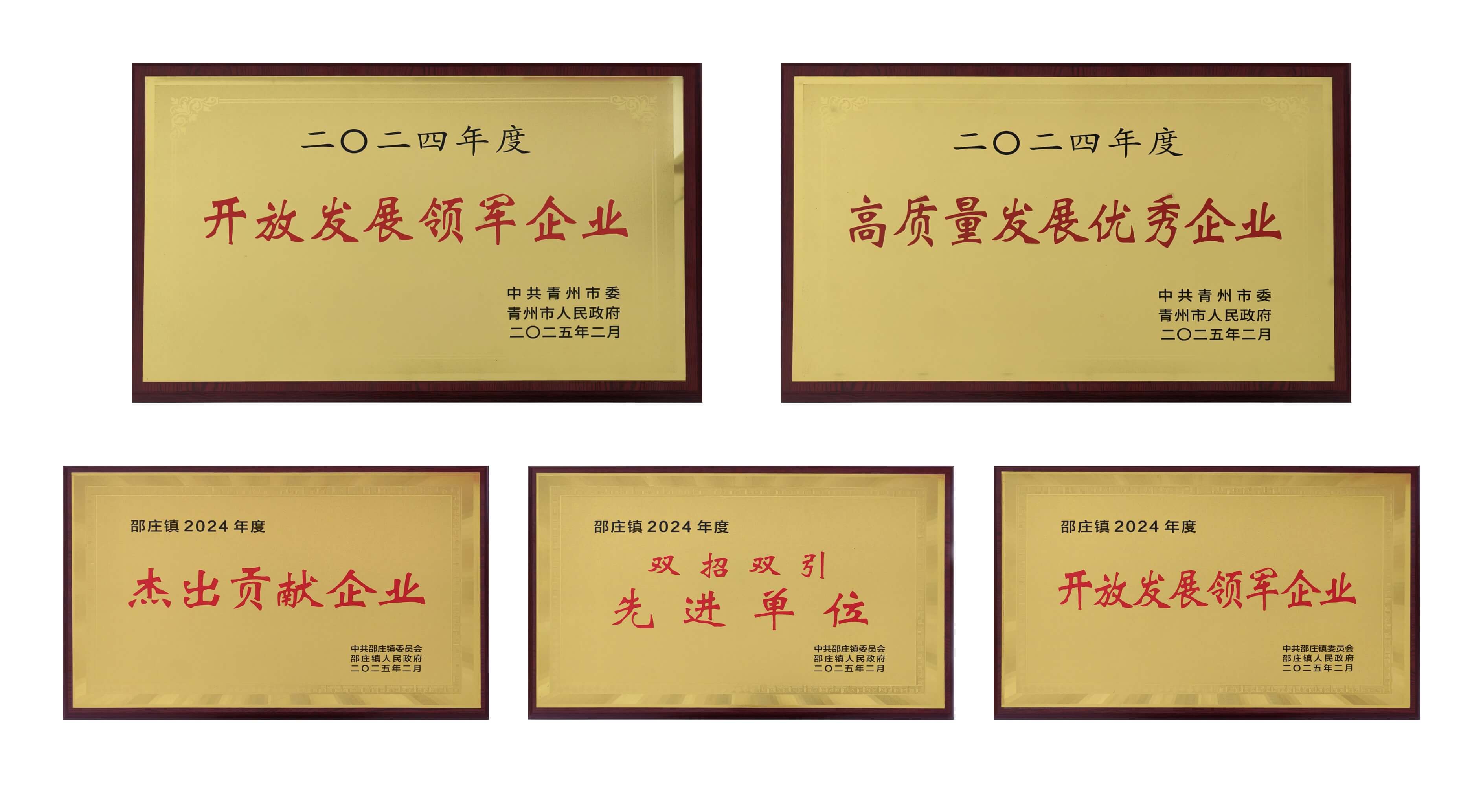 山东jinnianhui官网医疗荣获多项殊荣